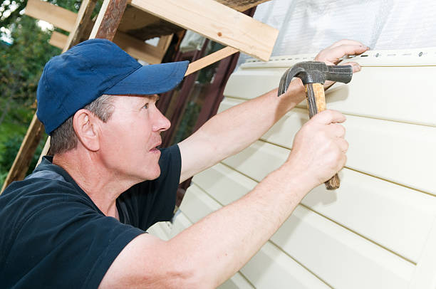 Best Insulated Siding Installation  in Springfield, IL