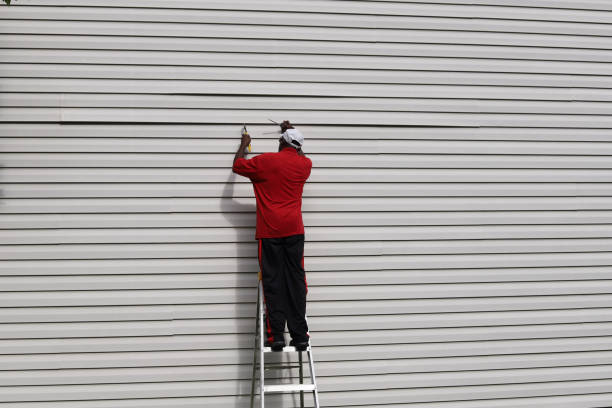 Best Custom Siding Design  in Springfield, IL